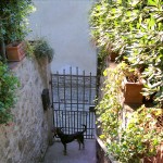 ingresso