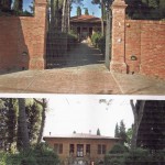 Untitled-17