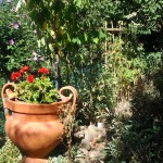 giardino6