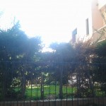2012-10-20 14.36.37
