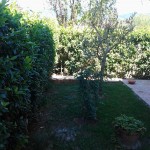 giardino
