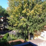 2012-10-19 11.26.08