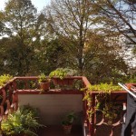 20161006_105753