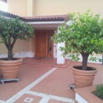 IMG-20121008-WA0009
