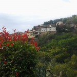 2012-11-03 12.56.24
