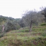 2012-11-03 13.02.35