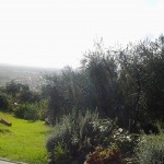 2012-11-06 13.20.05