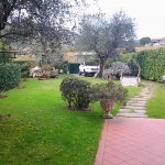 2012-11-29 12.31.45