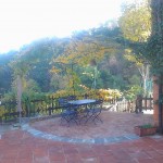2012-11-16 10.57.23