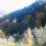 2012-11-16 11.26.33