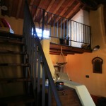 IMG_8811