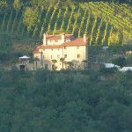 terra mia immagine panoramica
