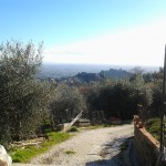 2013-02-04 15.13.53