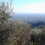 2013-02-04 15.14.10