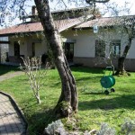 La casa tra gli ulivi