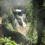 Altro vialetto