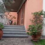 Ingresso
