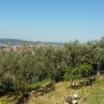 20160429_095909