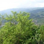 --192.168.2.20-Revo-Immobili_Img-7741-0000528-SL372221