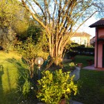 IMG_20160319_174046