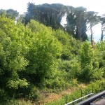 20160430_105645