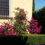 20160712_105434