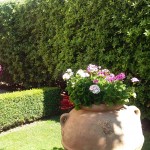 20160712_105436